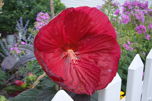 DSC01604