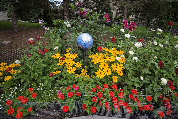 DSC01609