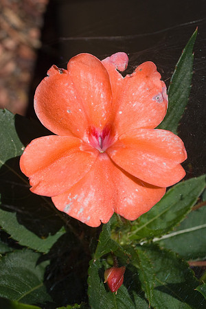DSC01224