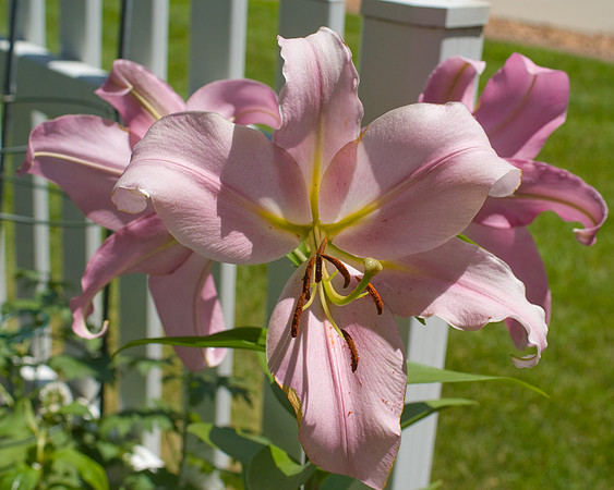 DSC01268