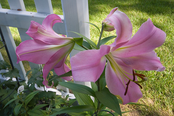 DSC01170