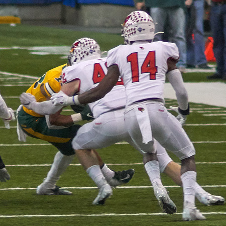 2019 1214 Bison 067