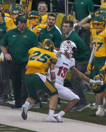 2019 1214 Bison 351