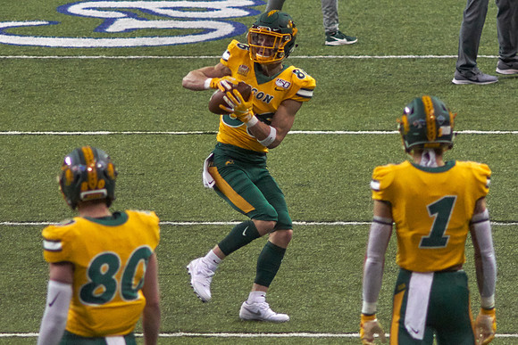 2019 1214 Bison 028