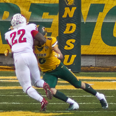 2019 1214 Bison 259