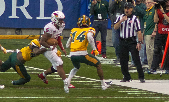 2019 1214 Bison 347