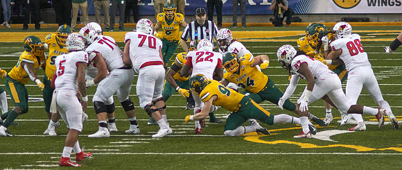 2019 1214 Bison 099