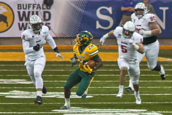 2019 1214 Bison 062