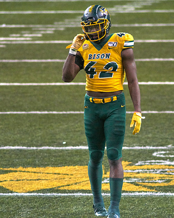 2019 1214 Bison 222