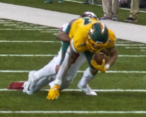 2019 1214 Bison 231