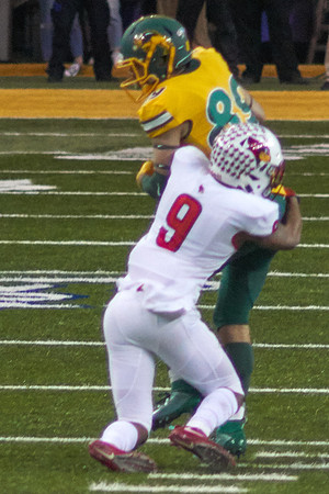 2019 1214 Bison 069