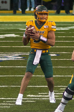 2019 1214 Bison 078