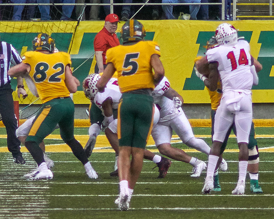 2019 1214 Bison 171
