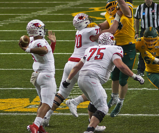 2019 1214 Bison 092