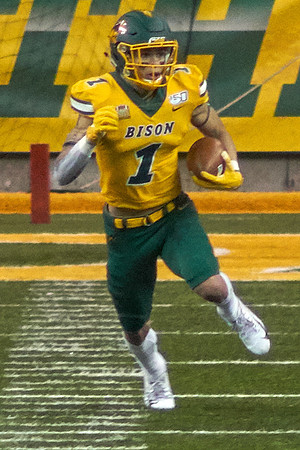 2019 1214 Bison 266