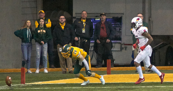 2019 1214 Bison 193
