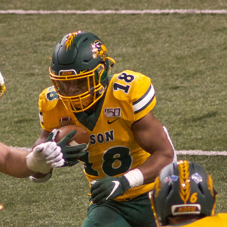 2019 1214 Bison 043