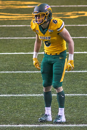 2019 1214 Bison 211