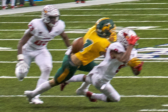 2019 1214 Bison 233