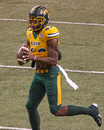 2019 1214 Bison 014