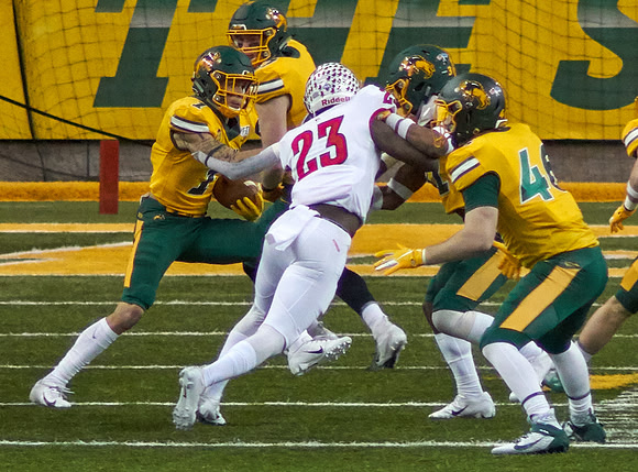 2019 1214 Bison 263