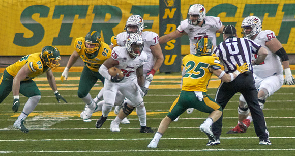 2019 1214 Bison 133