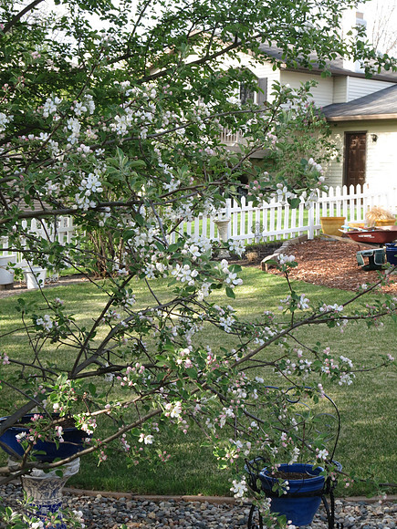 Spring Comes To Fargo