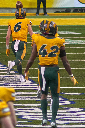 2019 1214 Bison 094