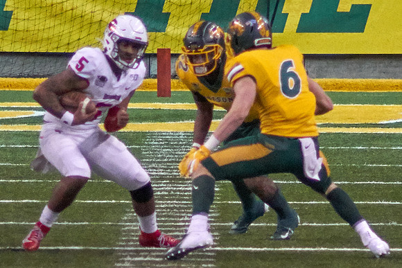 2019 1214 Bison 118