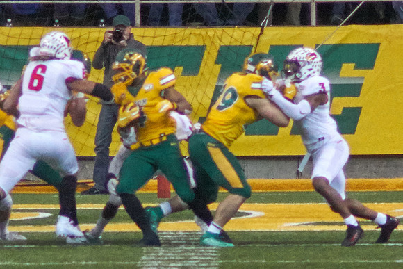 2019 1214 Bison 173