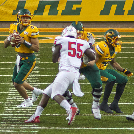 2019 1214 Bison 202