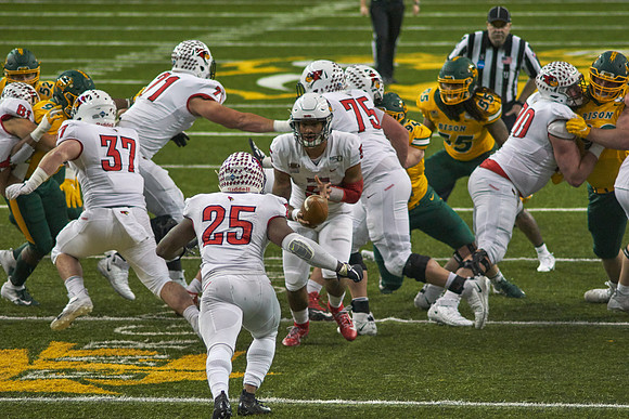 2019 1214 Bison 096