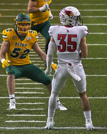 2019 1214 Bison 083