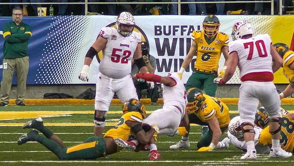 2019 1214 Bison 257