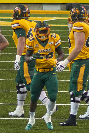2019 1214 Bison 065