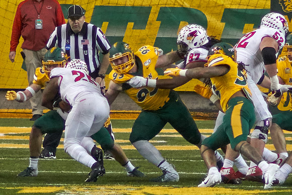 2019 1214 Bison 261