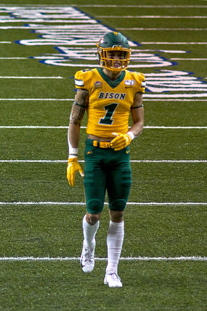 2019 1214 Bison 055