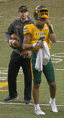 2019 1214 Bison 025
