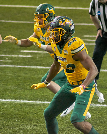 2019 1214 Bison 213