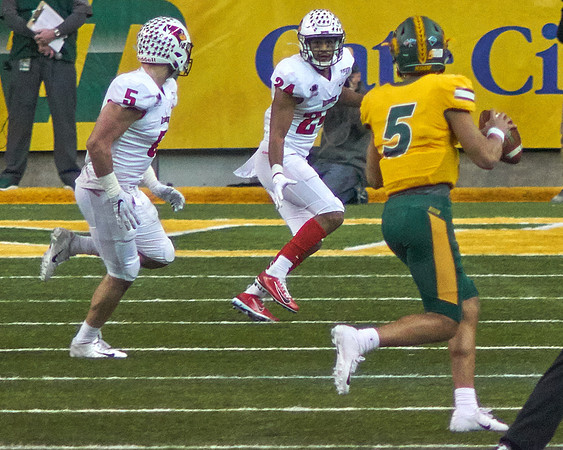 2019 1214 Bison 163