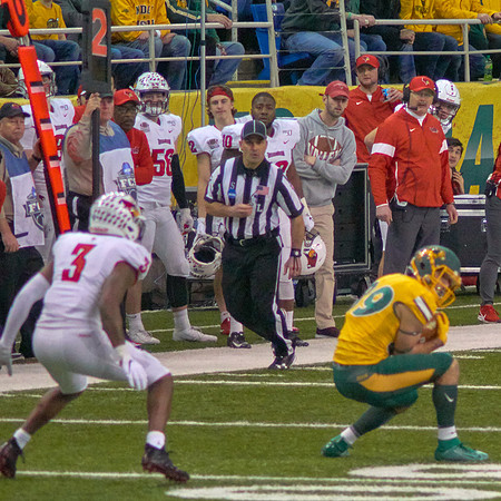 2019 1214 Bison 112