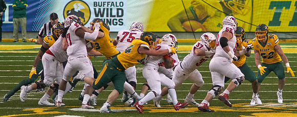 2019 1214 Bison 244