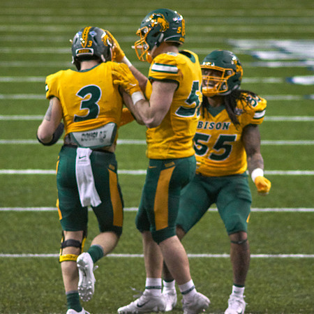 2019 1214 Bison 206