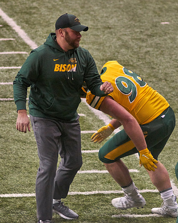 2019 1214 Bison 016
