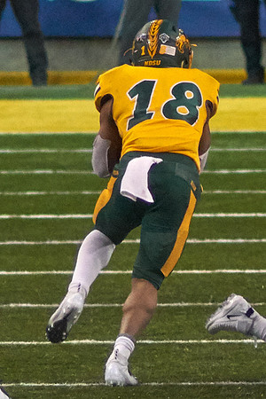 2019 1214 Bison 148