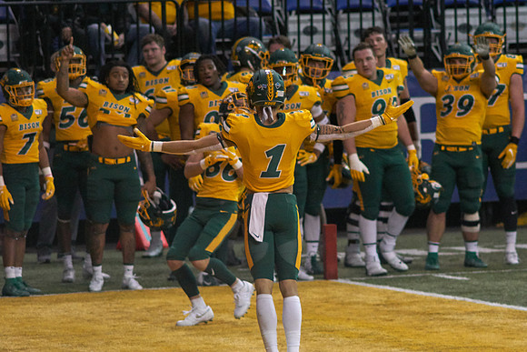 2019 1214 Bison 048