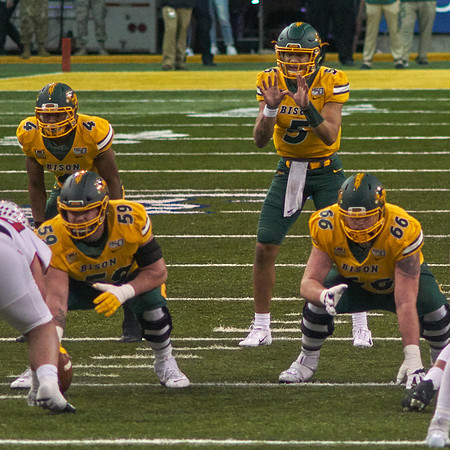 2019 1214 Bison 075