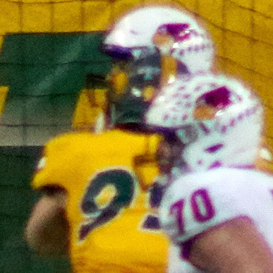 2019 1214 Bison 354