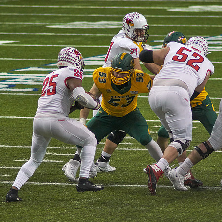2019 1214 Bison 057