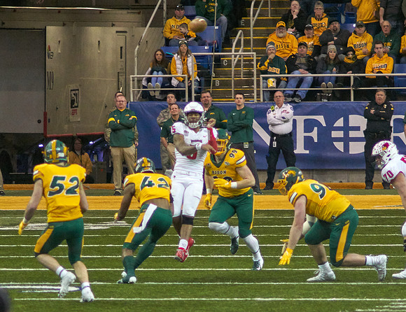 2019 1214 Bison 186